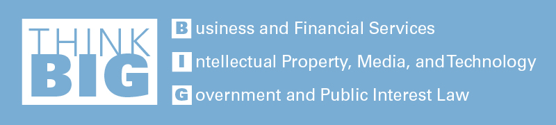 Think BIG: Business and Financial Services, Intellectual Property and Privacy, Government and Public Interest Law